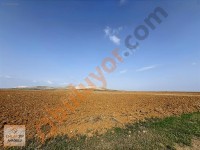EMLAKYAP TAN KAZIMKARABEKİRDE SATILIK 75 000 M2 TARLA