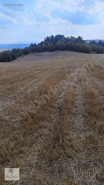 mükelmel bir konumda fırsat arazi son 15 gü.n