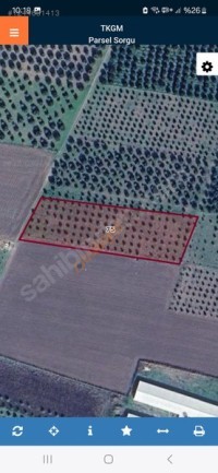 BİLGİ EKONOMİSİ DEN